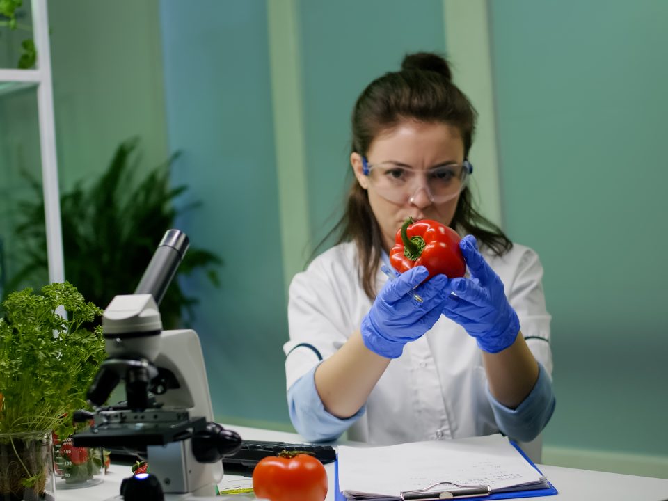 Duyusal Analiz: Ürün Başarısında Gizli Güç